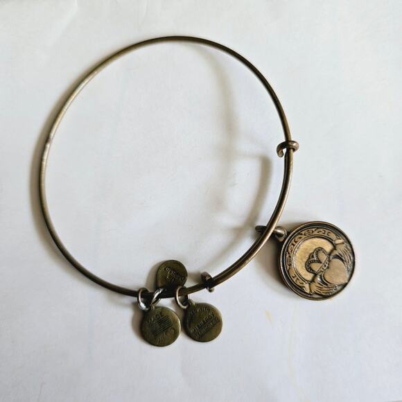 Alex & Ani CLADDAGH Bangle Bracelet Bronze Tone EUC Love Friendship Loyalty - Picture 1 of 8